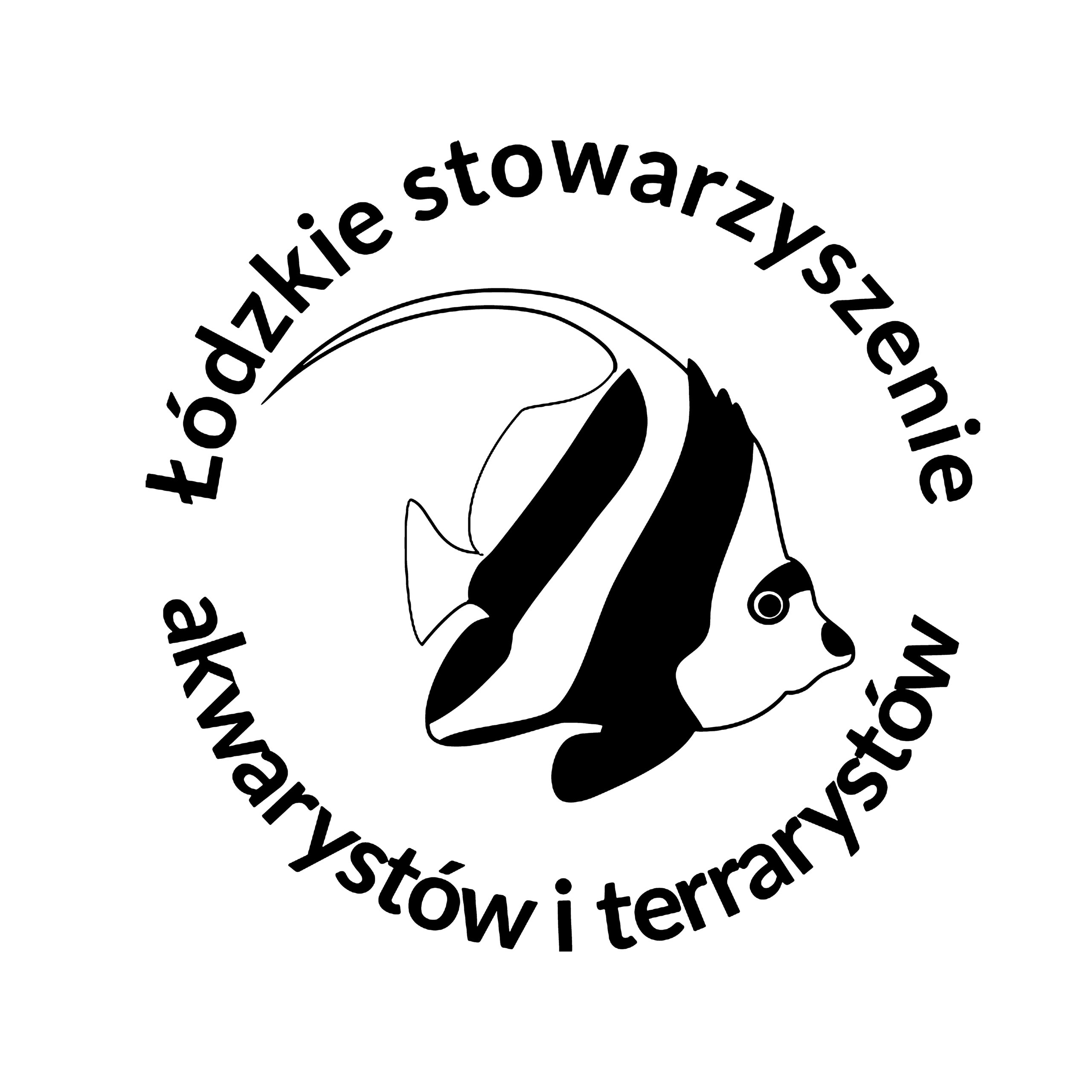 zdjecie