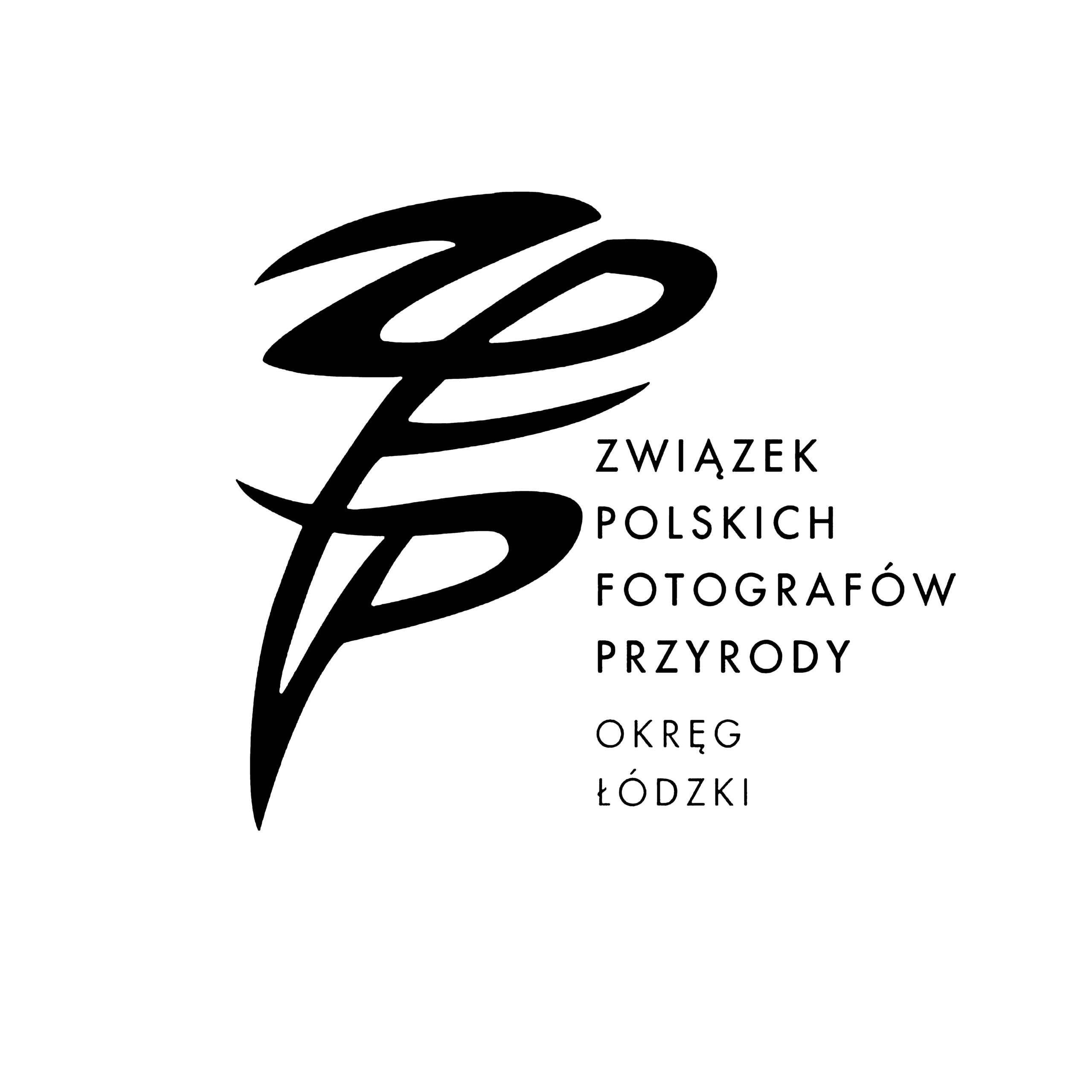 zdjecie